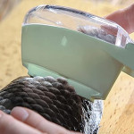 Fish Scale Remover With Cover | Scale Tools